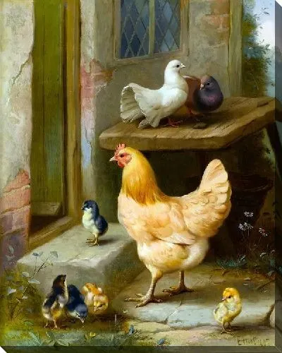 Картина Курицы и голуби (Chickens and pigeons)