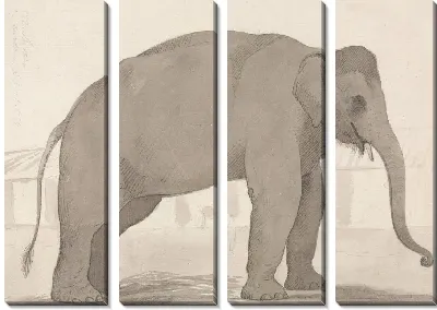 Индийский слон в Лакхнау, 1 сентября 1789 г.