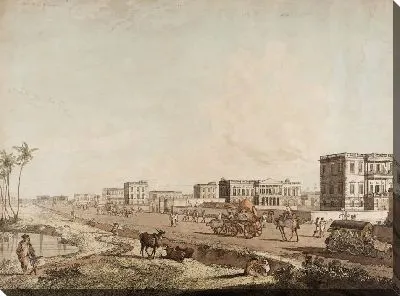 Картина Новые здания  с видом на Калькутту