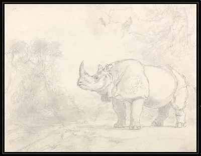 Картина Носорог, стоящий на берегу реки