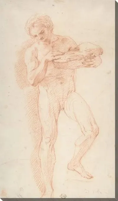 Картина Этюд обнаженного мужчины