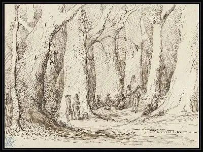 Встреча индейцев в высоком лесу