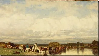 Коровы пересекают Форд