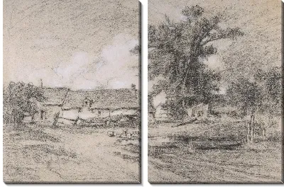 Скотный двор с утками