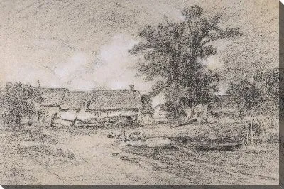 Скотный двор с утками