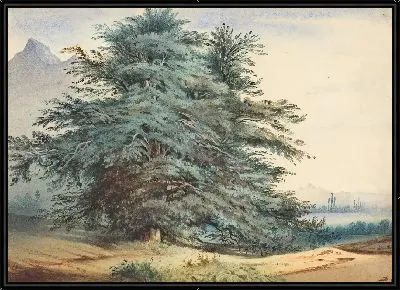 Два древних дерева перед горной вершиной