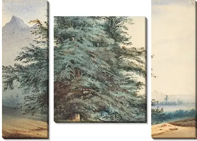 Два древних дерева перед горной вершиной