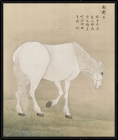 Картина Пальюн дочеоп, Лошадь из Чеджу