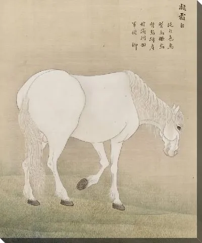 Картина Пальюн дочеоп, Лошадь из Чеджу