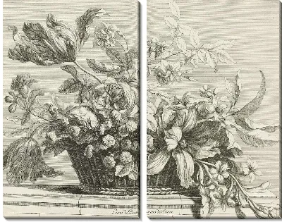 Книги Titelprent из нескольких корзин