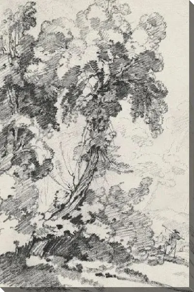 Картина Возвышающееся дерево с путешественниками