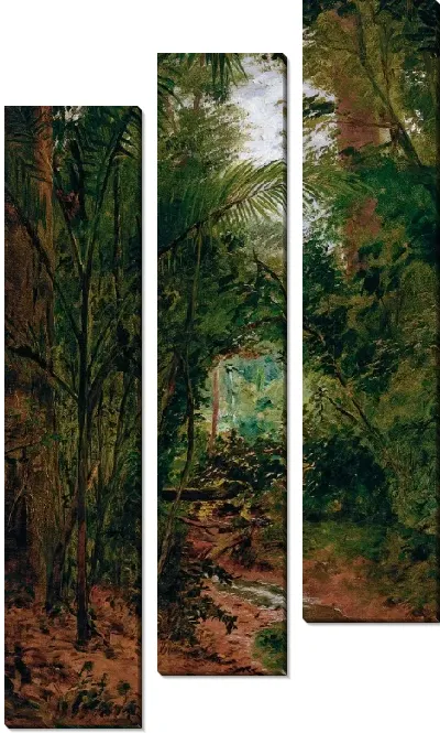 Картина Пейзаж участка Рио-дас-Педрас