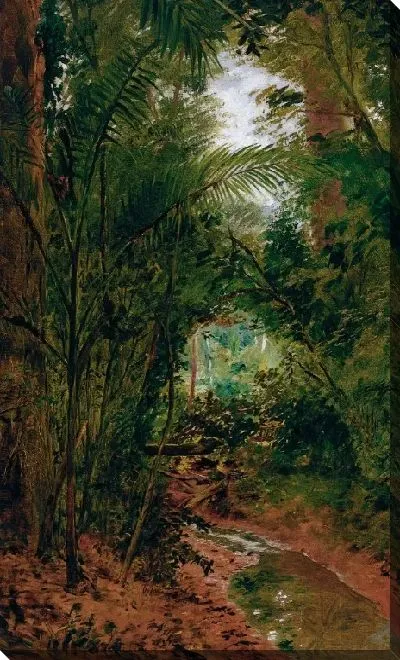 Картина Пейзаж участка Рио-дас-Педрас