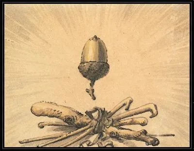 Желудь Сила