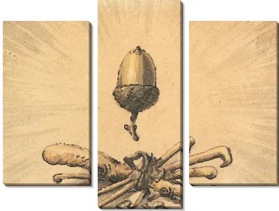 Желудь Сила