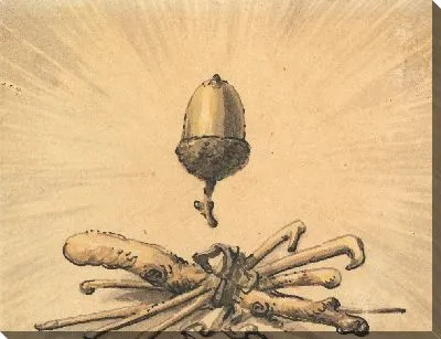 Желудь Сила