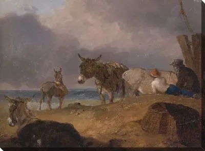 Ослы и фигуры на пляже