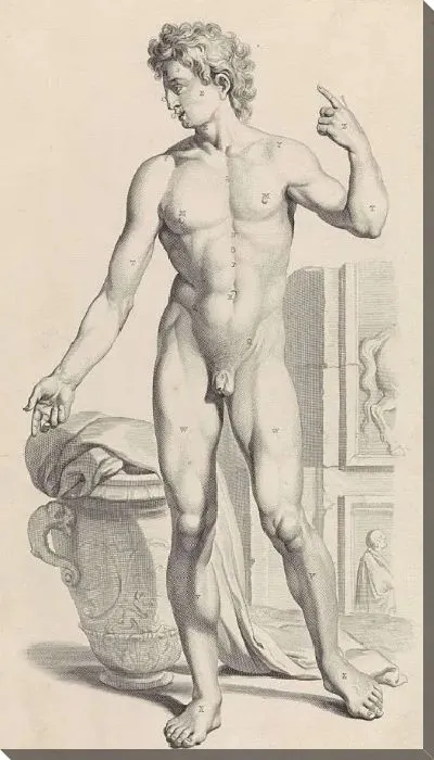 Картина Этюд мужского обнаженного