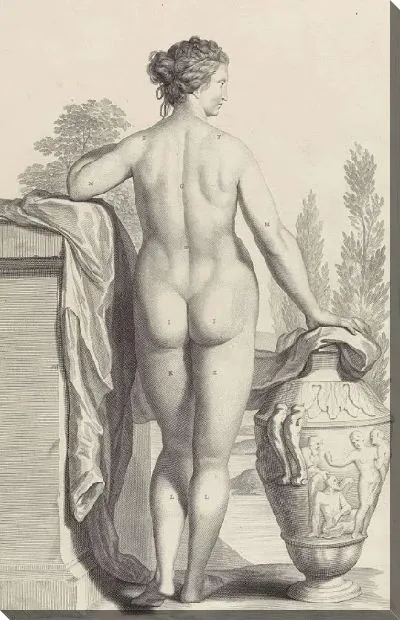 Картина Этюд женской ню