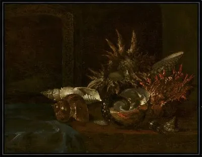 Натюрморт с ракушками