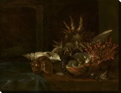 Натюрморт с ракушками