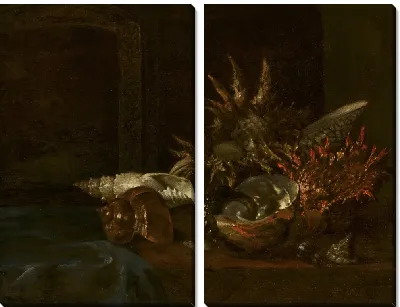 Натюрморт с ракушками