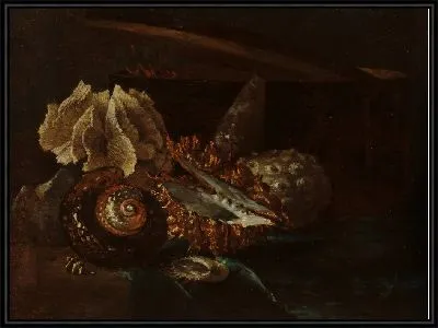 Натюрморт с ракушками и кораллом