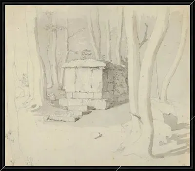 Каменная могила в лесу;