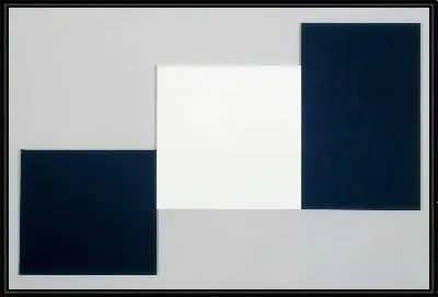 Два черных и белый