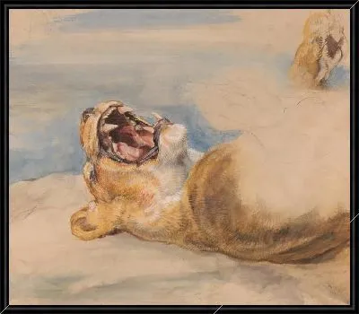 Этюд львицы