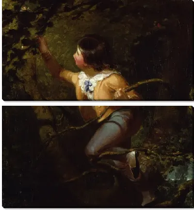 Гнездование птиц