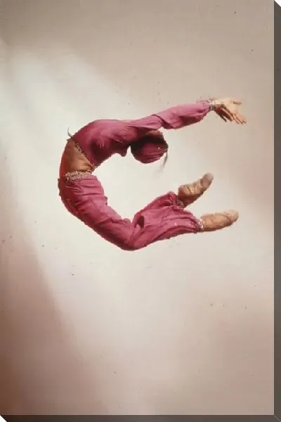 Картина Vladimir Malakhov in La Bayadère.