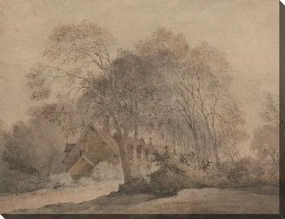 Дом среди деревьев