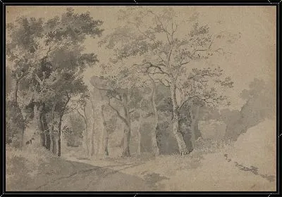 Роща с дорогой и сенокосом