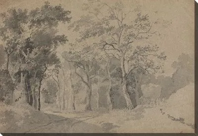 Роща с дорогой и сенокосом