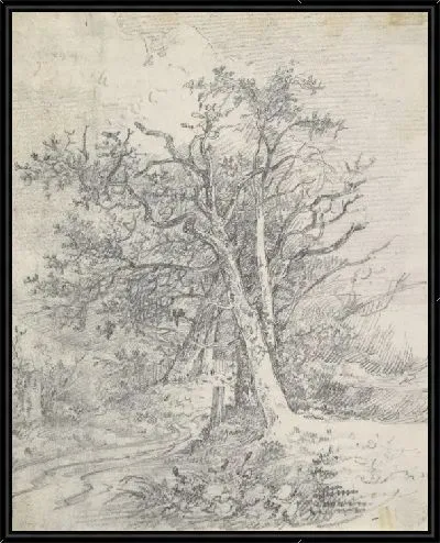 Картина Этюд для стволов деревьев и Лейн