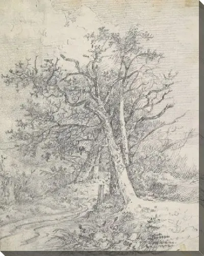 Картина Этюд для стволов деревьев и Лейн