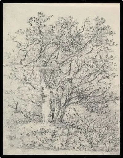 Картина Этюд для трех деревьев