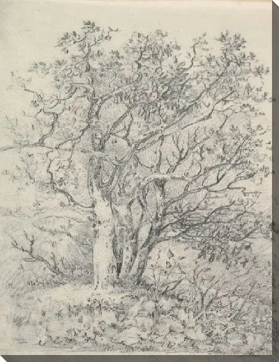 Картина Этюд для трех деревьев