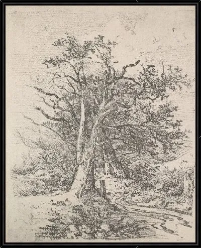 Картина Стволы деревьев и переулок