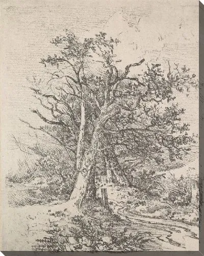 Картина Стволы деревьев и переулок