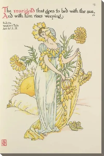 Картина «Ноготки, которые ложатся спать с солнцем, И с ним поднимается плач;»