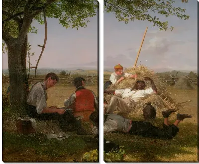 Фермеры полдень