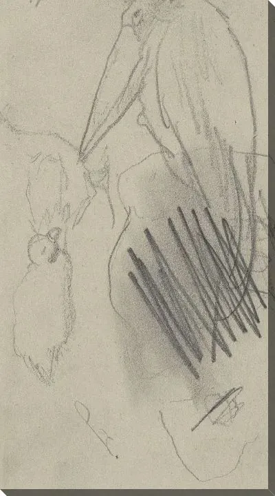 Картина Эскизы птиц