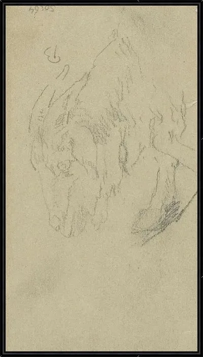 Картина Голова козла