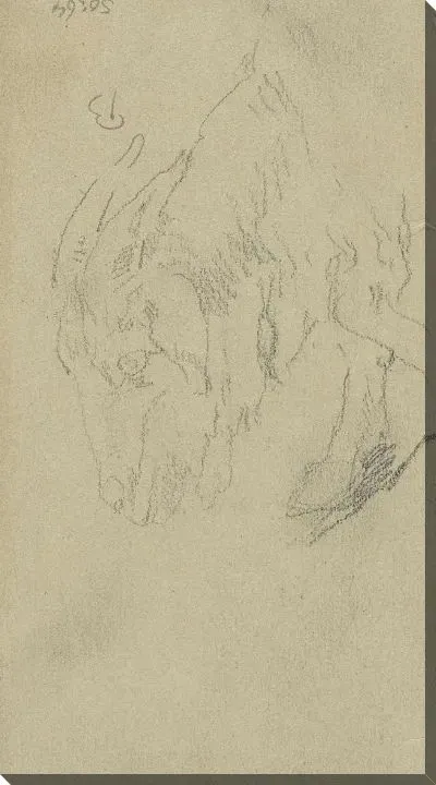 Картина Голова козла