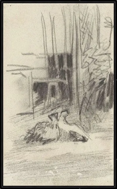 Картина Голуби в суде