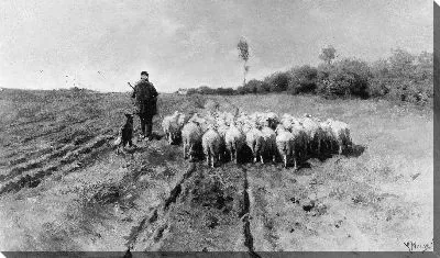 Картина Возвращение в складку