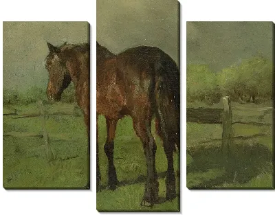 Картина лошадь №18