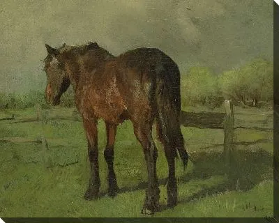 Картина лошадь №18